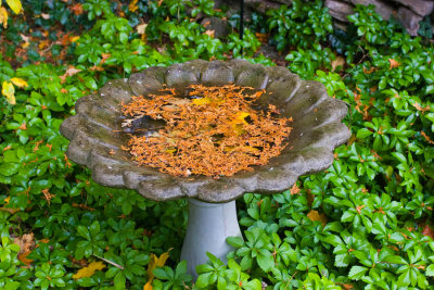 Birdbath 8018