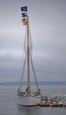 coast_of_maine