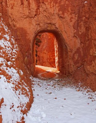 Bryce tunnel 1459.jpg