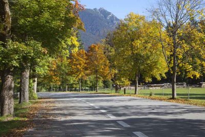 Fall Colours 5583.jpg