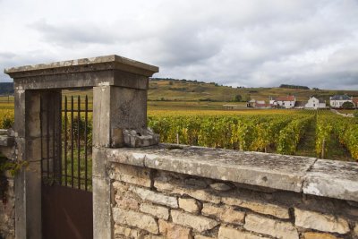 Vineyard Gate 5669.jpg