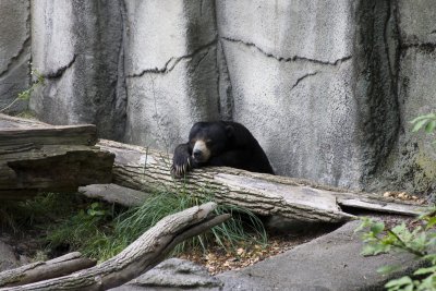 IMG_1304.jpg