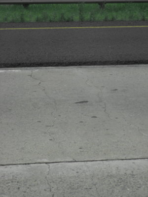 Picture 193.jpg