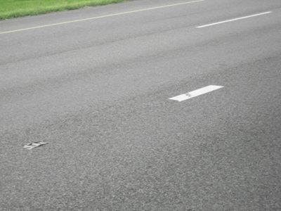 Picture 201.jpg