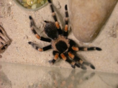 DSCF5145.JPG