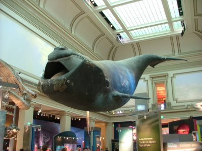 DSCF5146.JPG