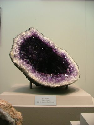 DSCF5461.JPG