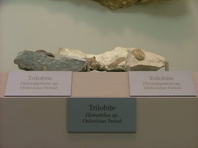 DSCF5474.JPG