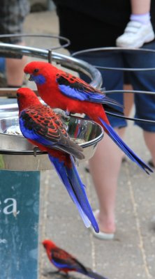 IMG_1927.jpg