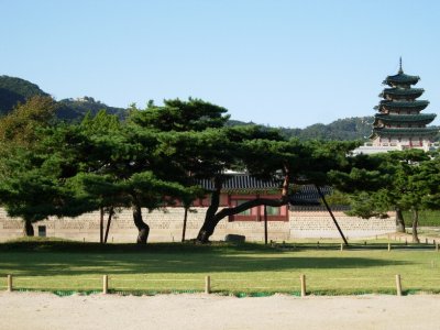 DSCN5334.JPG