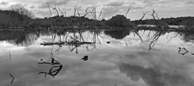 P3234575-79BW.jpg