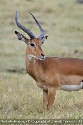 TJ_Kenya-09__04641.jpg
