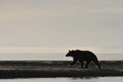 g1/43/345243/3/128550689.kzjxr7A1.jpg