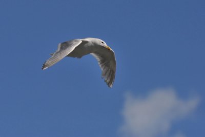 g1/43/345243/3/128551100.91mwlSIj.jpg