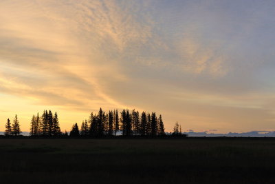 TJ_Alaska_10544.jpg
