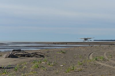 TJ_Alaska_10689.jpg
