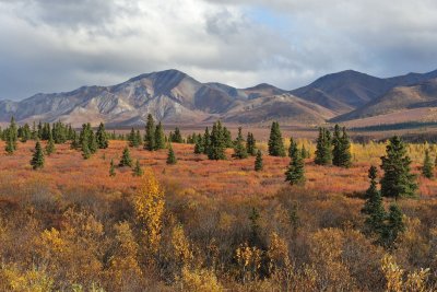 Denali