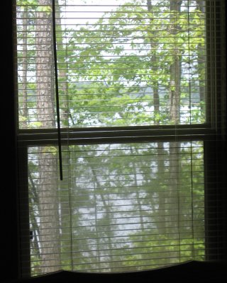 View towards the lake from Master bedroom