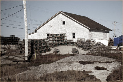 Lobster Traps