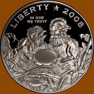 08eagle_clad_obv.jpg