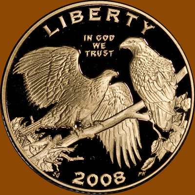 08eagle_gold_obv.jpg