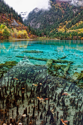 Five-Colored Lake