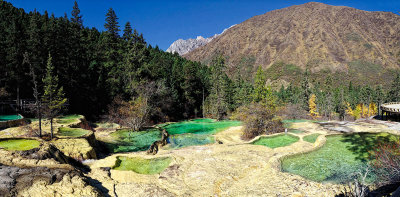 Guest Welcoming Ponds