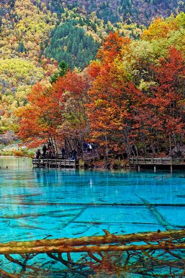 Five-Colored Lake