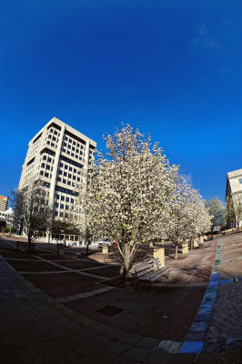 Civic Center Plaza