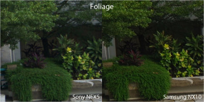 Foliage Comparison