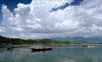 Giant Net Fishing of Carps on Qiandao Lake