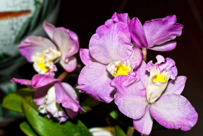 g1/43/42943/3/132022832.dDD69EKQ.jpg