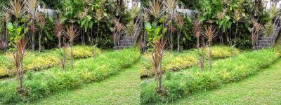 Garden (Stereo)