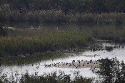 Sous massa National Park