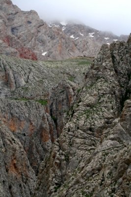 Wildlife photos from Turkey - Birds - Butterflies and Bugs - Flowers - Landscapes