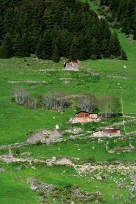 Wildlife photos from Turkey -  Birds - Butterflies and Bugs - Flowers - Landscapes