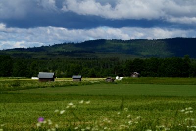 Typical Swedish landscape in the South.jpg