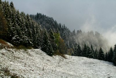 First snow in the alps - Primera nevada de los Alpes