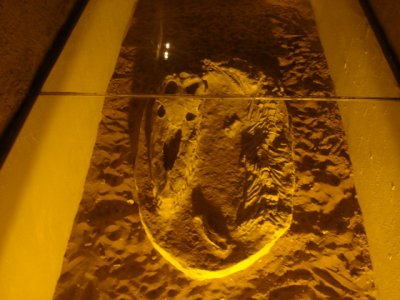 Fossil from a Crocodilian in one of the hotels in Boulamane Dades