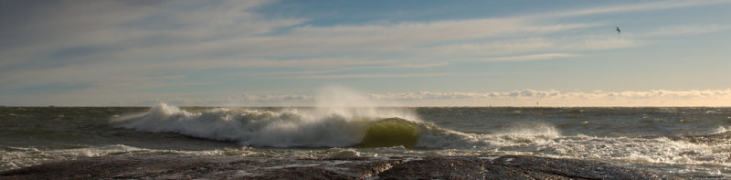 Wave