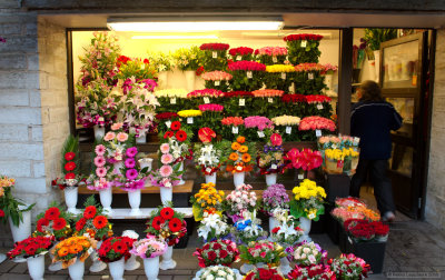 At the flower market