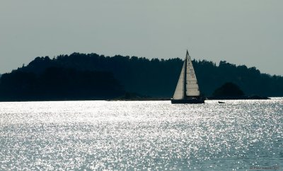 Sailboat