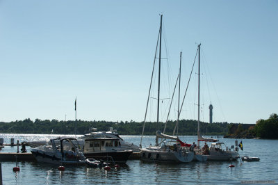 Vedette at Fjderhomarna