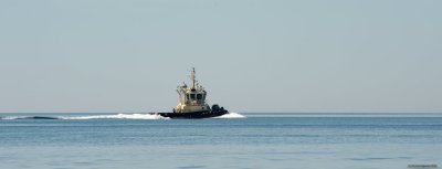 Tug