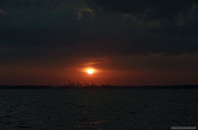 Cranes at sunset