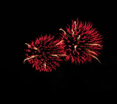 IMG_2407.JPG