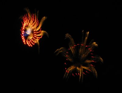 IMG_2412.JPG