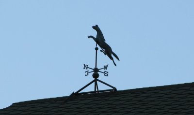 IMG_2653.JPG