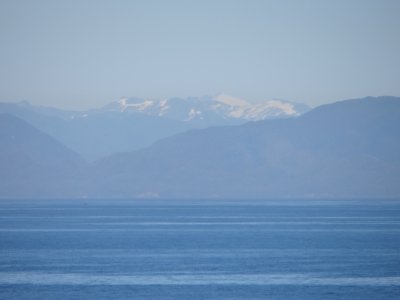 Juneau and whale/rainforest excursion