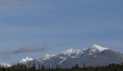 DSC02353.jpg